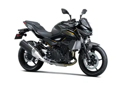 Kawasaki Z 500 (2024 - 26) - Annuncio 10064586