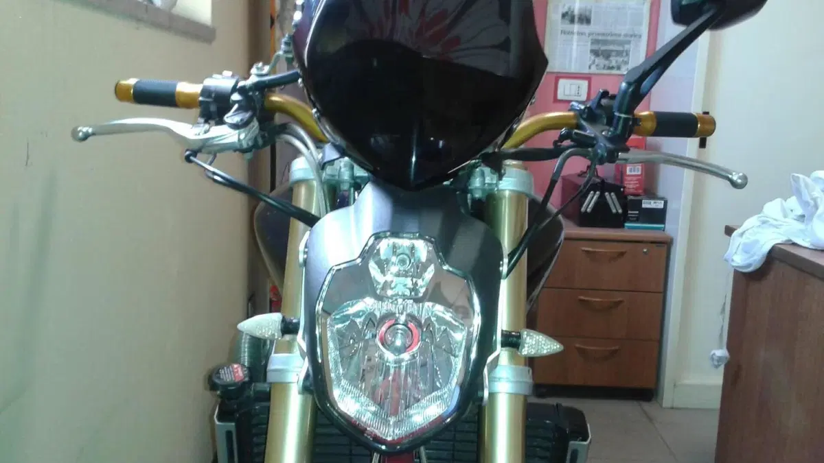 Honda Hornet 600 (2005 - 06)  (4)