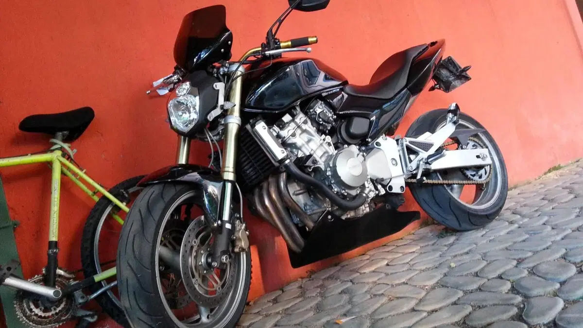 Honda Hornet 600 (2005 - 06)  (7)