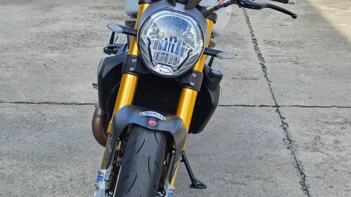 Ducati Monster 1200 S (2014 - 16)  (2)