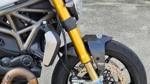 Ducati Monster 1200 S (2014 - 16)  (4)