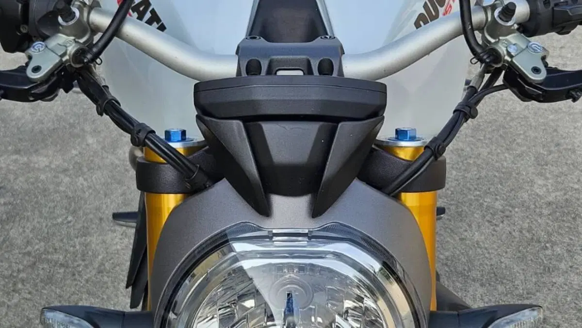 Ducati Monster 1200 S (2014 - 16)  (5)