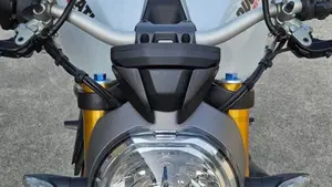 Ducati Monster 1200 S (2014 - 16)  (5)