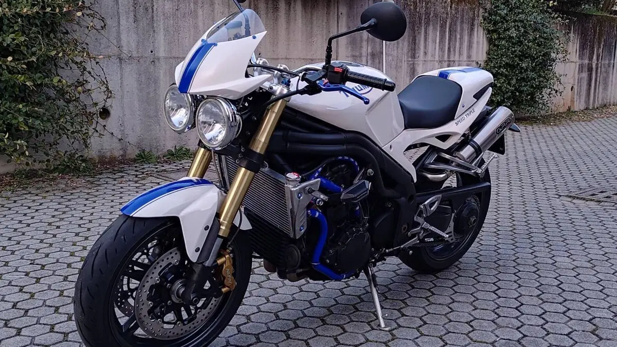 Triumph Speed Triple 1050 (2005 - 11)  (2)