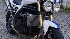 Triumph Speed Triple 1050 (2005 - 11)  (3)