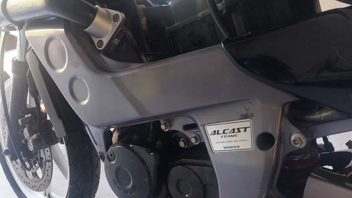 Honda NSR 125 F Raiden (1992 - 97)  (8)