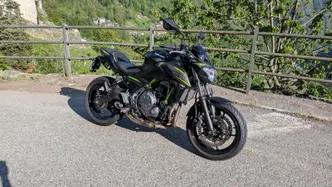 Kawasaki Z 650 Performance (2019 - 20) usata