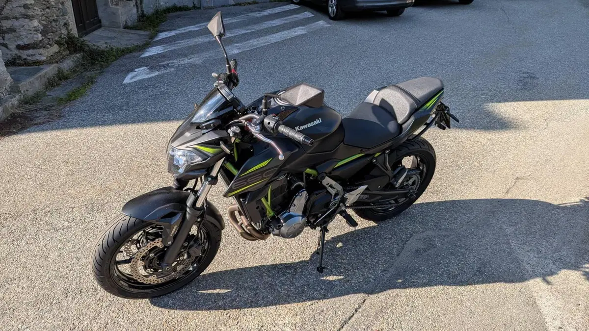Kawasaki Z 650 Performance (2019 - 20)  (2)