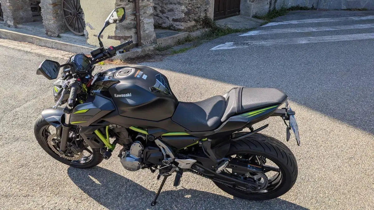 Kawasaki Z 650 Performance (2019 - 20)  (3)