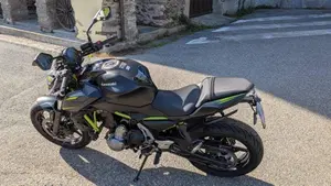 Kawasaki Z 650 Performance (2019 - 20)  (3)