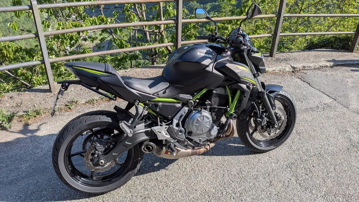 Kawasaki Z 650 Performance (2019 - 20)  (4)