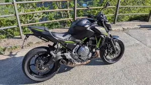Kawasaki Z 650 Performance (2019 - 20)  (4)