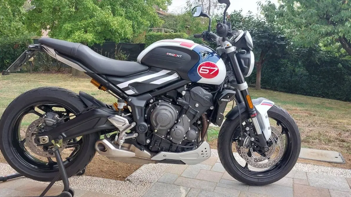 Triumph Trident 660 Triple Tribute Edition (2024)  (2)