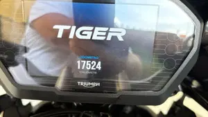 Triumph Tiger 1200 XCa (2018 - 20)  (7)