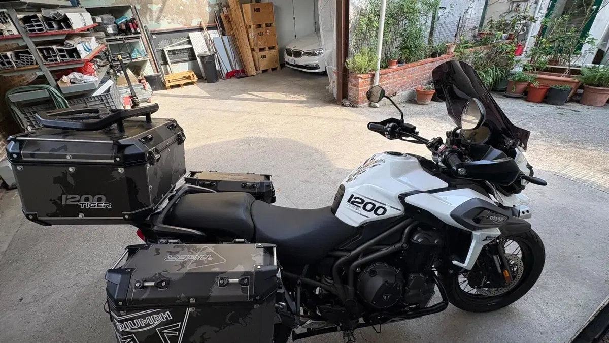 Triumph Tiger 1200 XCa (2018 - 20)  (4)