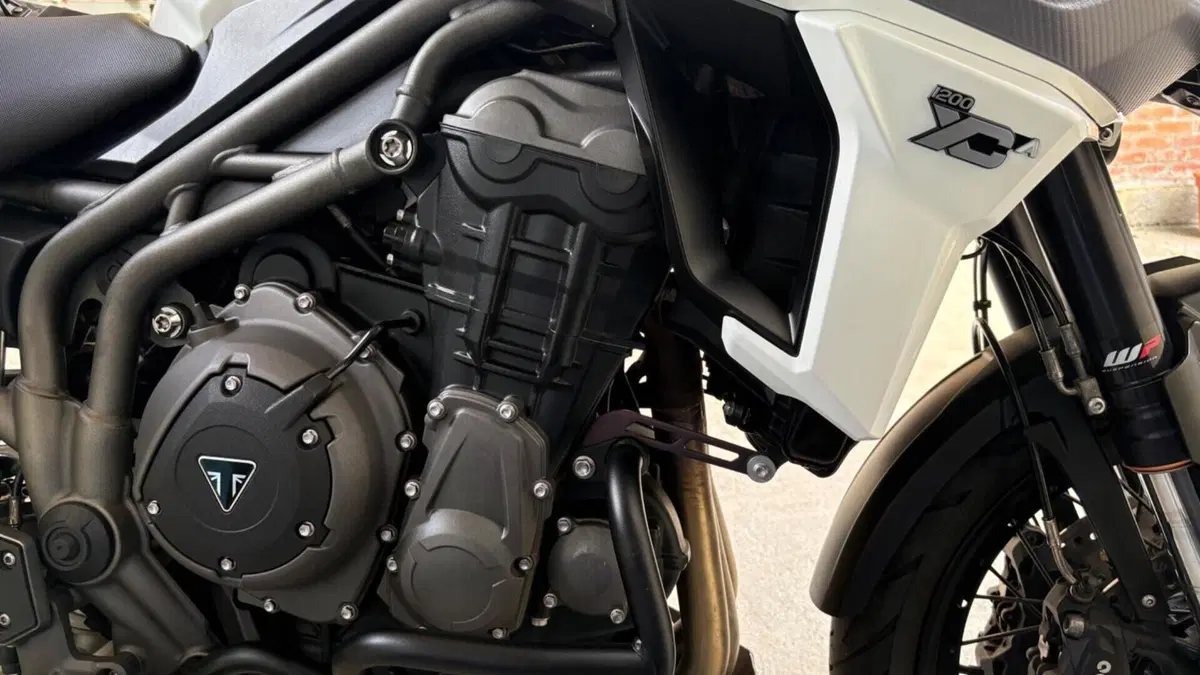 Triumph Tiger 1200 XCa (2018 - 20)  (5)