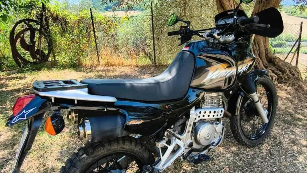 Honda NX 650 Dominator (1996 - 02)  (2)