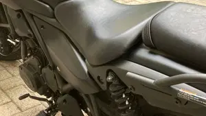 Kawasaki Eliminator 500 (2024 - 26)  (12)