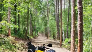 Fantic Motor Caballero 500 Scrambler (2021 - 23)  (2)
