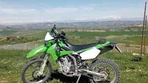 Kawasaki KLX 250 (2009 - 16)  (5)