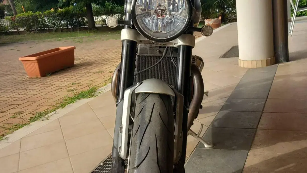 Triumph Speed Twin 1200 (2021 - 24)  (5)