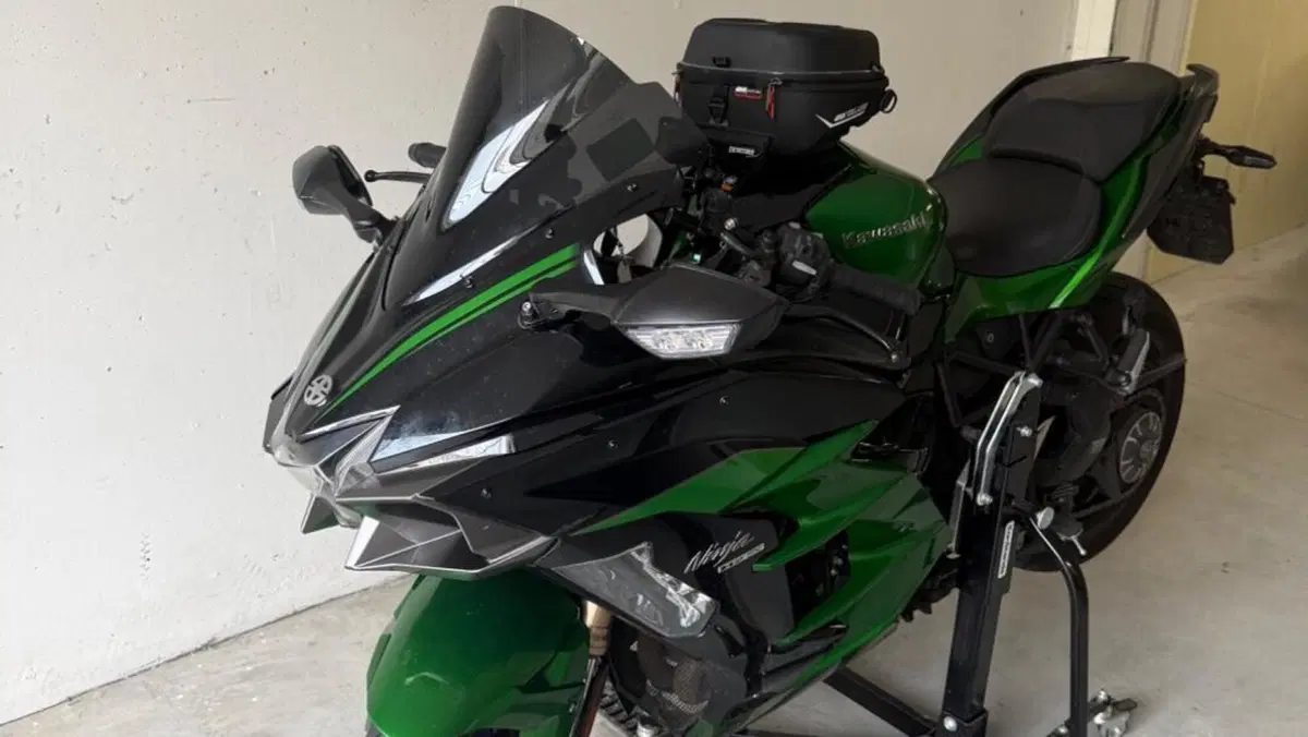 Kawasaki Ninja H2 SX SE (2018 - 20)  (5)