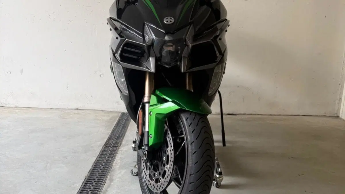 Kawasaki Ninja H2 SX SE (2018 - 20)  (2)