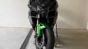 Kawasaki Ninja H2 SX SE (2018 - 20)  (2)