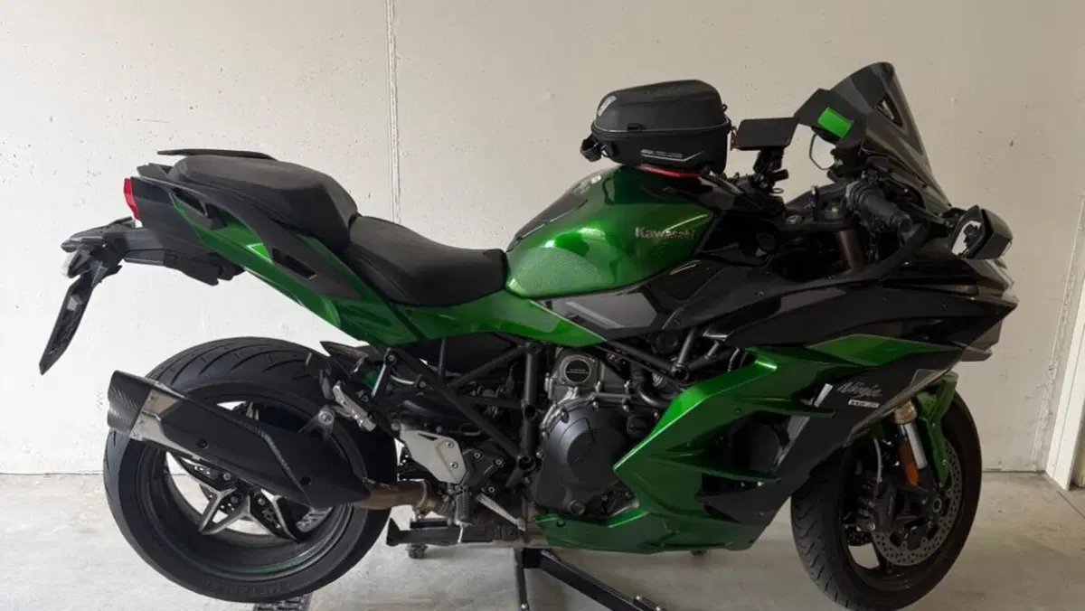 Kawasaki Ninja H2 SX SE (2018 - 20)  (9)