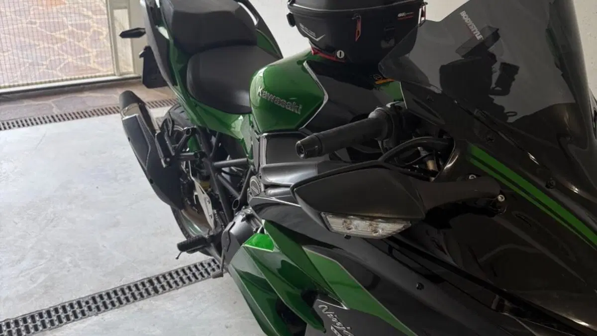 Kawasaki Ninja H2 SX SE (2018 - 20)  (8)