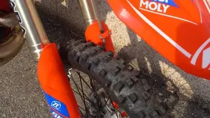 Betamotor RR 300 2T Enduro Racing (2023)  (5)