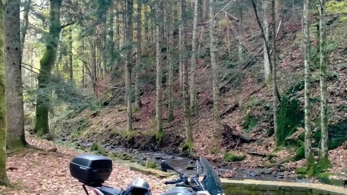 Moto Guzzi V85 Strada (2024 - 26)  (2)