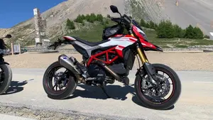 Ducati Hypermotard 939 SP (2016 - 18)  (3)