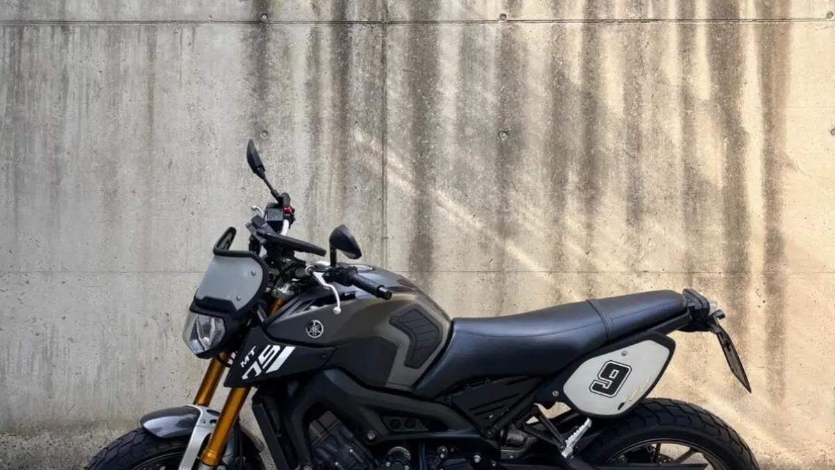 Yamaha MT-09 Sport Tracker ABS (2014 - 16)  (4)