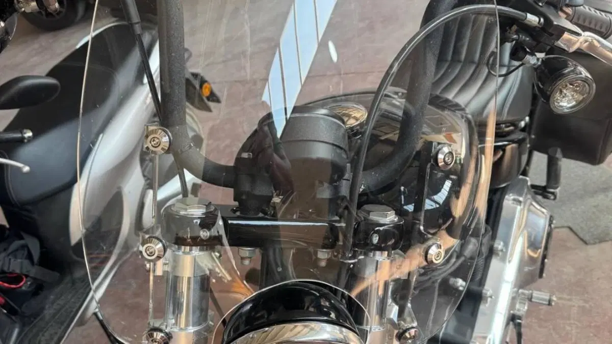 Harley-Davidson Street Bob 117 (2025 - 26)  (2)