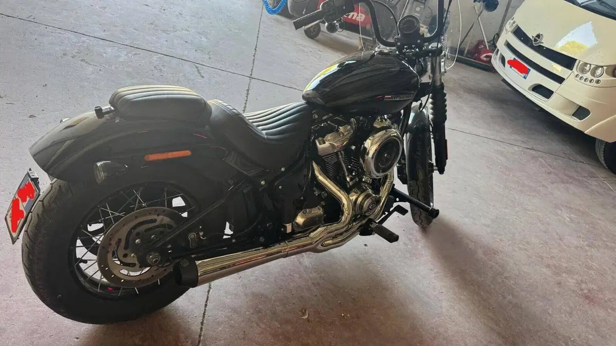 Harley-Davidson Street Bob 117 (2025 - 26)  (7)