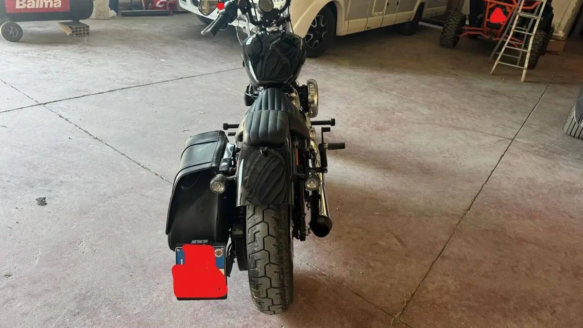Harley-Davidson Street Bob 117 (2025 - 26)  (8)