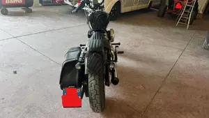 Harley-Davidson Street Bob 117 (2025 - 26)  (8)
