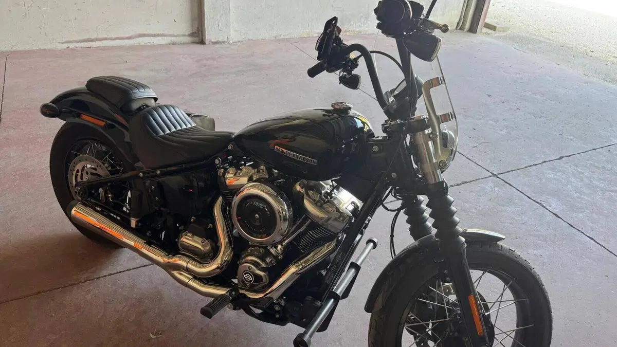 Harley-Davidson Street Bob 117 (2025 - 26)  (9)