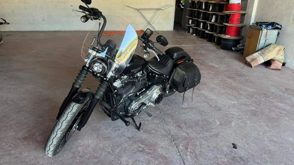 Harley-Davidson Street Bob 117 (2025 - 26)  (10)