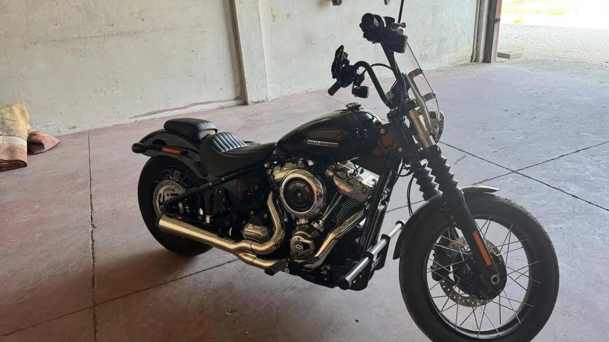 Harley-Davidson Street Bob 117 (2025 - 26)  (11)