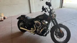 Harley-Davidson Street Bob 117 (2025 - 26)  (11)