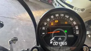 Harley-Davidson Street Bob 117 (2025 - 26)  (12)