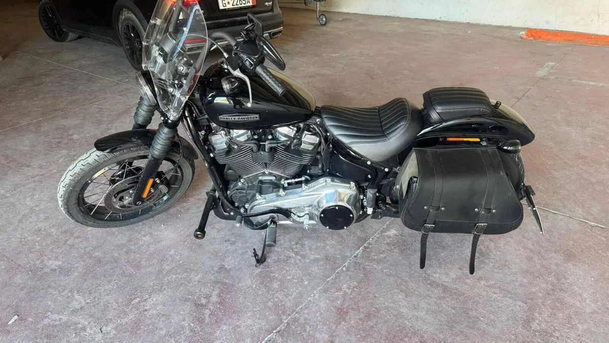 Harley-Davidson Street Bob 117 (2025 - 26) 