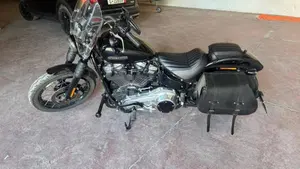 Harley-Davidson Street Bob 117 (2025 - 26) 