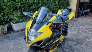 Suzuki GSX-R1000 (2005 - 06)  (3)