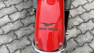 Moto Guzzi   (17)