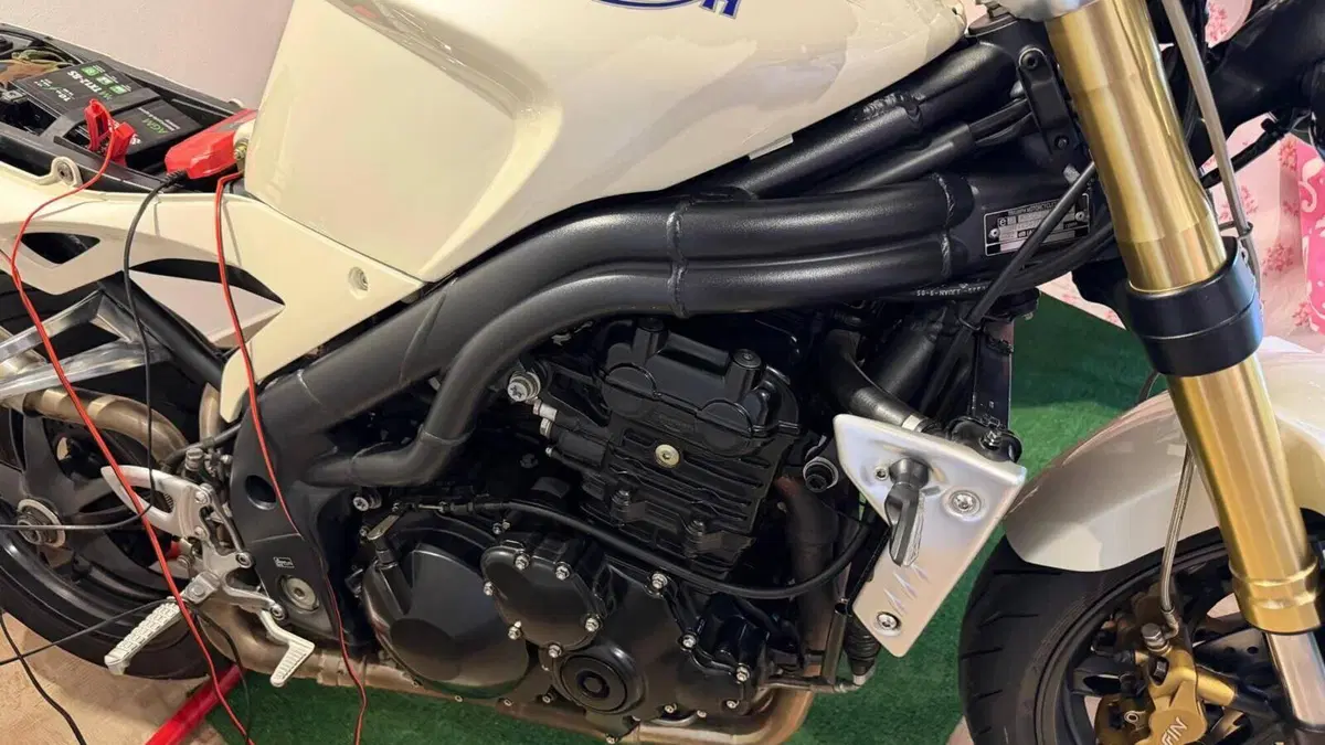 Triumph Speed Triple 1050 (2005 - 11)  (2)