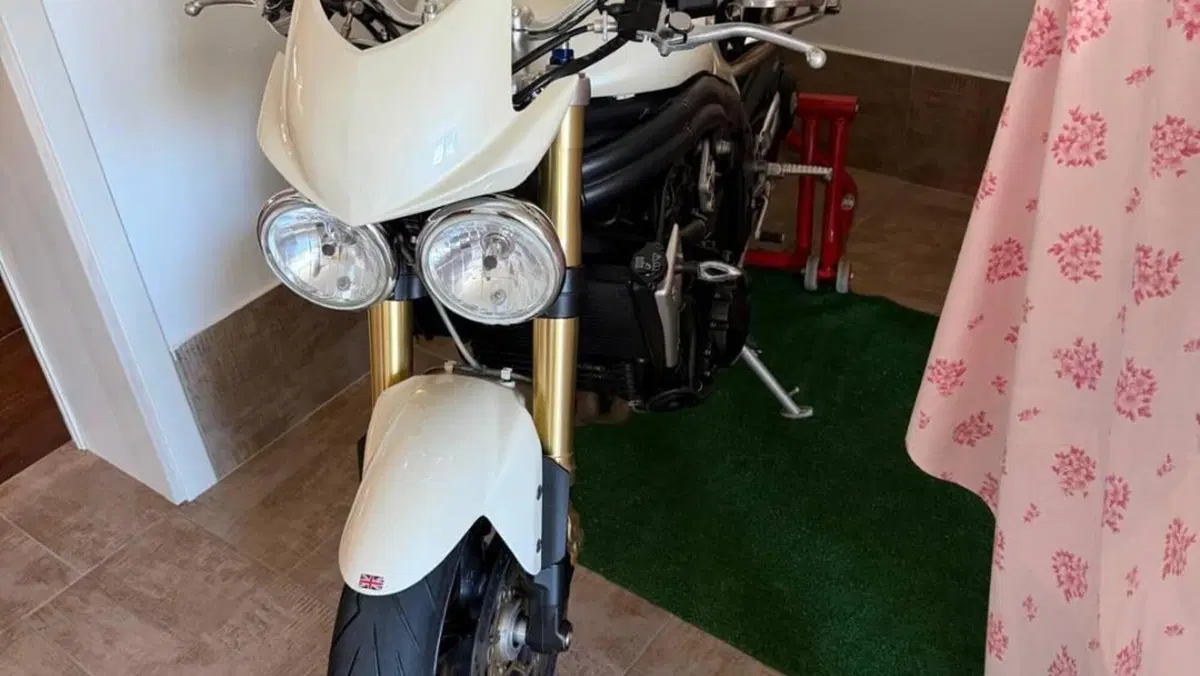 Triumph Speed Triple 1050 (2005 - 11)  (3)