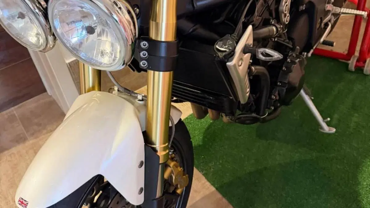 Triumph Speed Triple 1050 (2005 - 11)  (5)